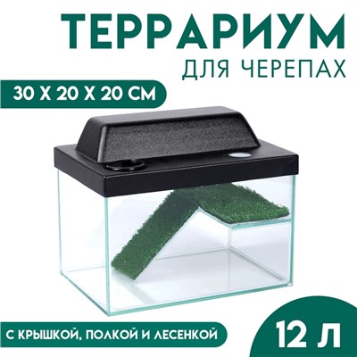 Террариум для черепах 12 л, с крышкой, полкой и лесенкой, 30×20×20 см