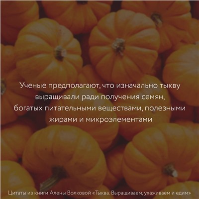 АСТ Алена Волкова "Тыква. Выращиваем, ухаживаем и едим"