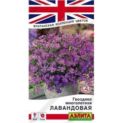 Гвоздика многолетняя лавандовая Мн (Аэлита)
