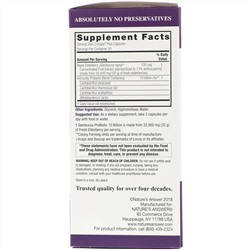 Nature's Answer, Sambucus + ProBiotic, 60 Vegan DuoCap Capsules