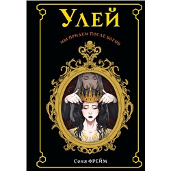 367791 АСТ Соня Фрейм "Улей"