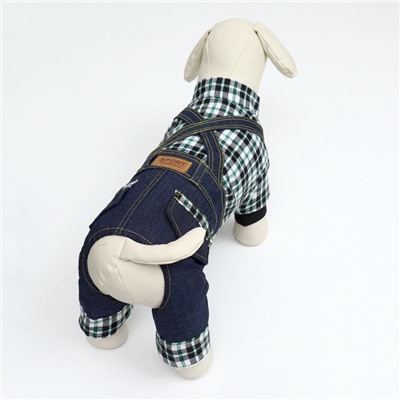 Комбинезон Men, размер М, ДС 30 см, ОГ 40 см, ОШ 30 см, синий