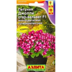 Петуния Джолли Стар Вельвет (Код: 82966)