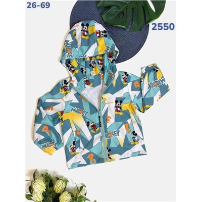 Ветровка 2550 изумруд