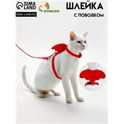 Комплект амуниции «Ангел», размер XS, шлейка 19-26 см, поводок 120×1 см, красный