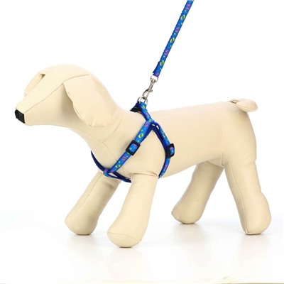 Комплект «Цветные следы», ширина 1 см, поводок 120 см, шлейка 23-35 см, синий