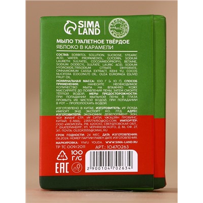 Новогодний подарочный набор косметики «Уют и тепло»: мыло для рук кусковое 100 г и мочалка для тела, URAL LAB
