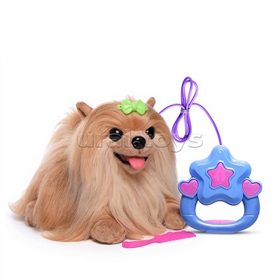 Собака "Тошка" (бегает, кружится, меняет голос) в коробке