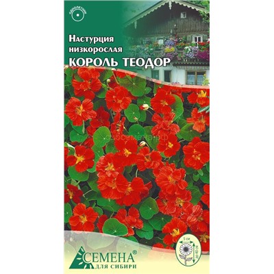 Настурция Король Теодор низкорослая, 0,5г (цв)