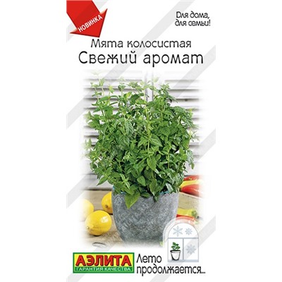 Мята Свежий аромат (Код: 93118)