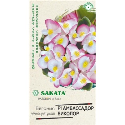 Бегония Амбассадор Биколор (Код: 88162)