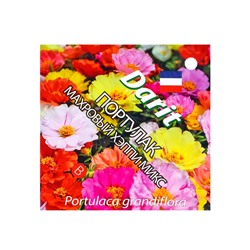 Семена цветов Портулак махровый "Хэппи микс", О, DARIT  0,1 г