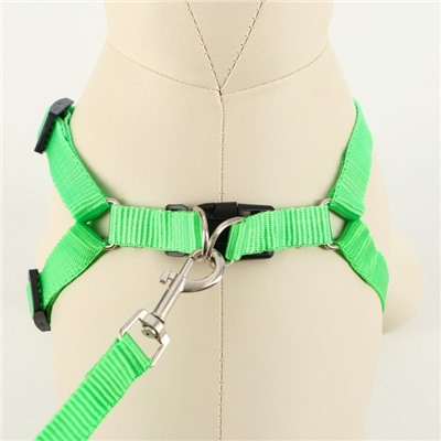 Шлейка с поводком «Базис», 32-46×1.5 см, поводок 120×1.5 см, зелёная