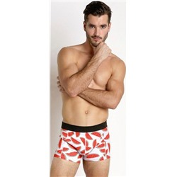Трусы-боксеры A00847360