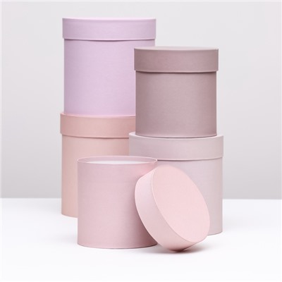Набор шляпных подарочных коробок 5 в 1 «Пудра»,20×20×20‒13.5×13.5×13.5 см
