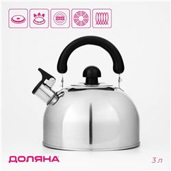 Чайник со свистком Доляна «Чёрная ночь», 3 л, нержавеющая сталь, фиксированная ручка, хромированный