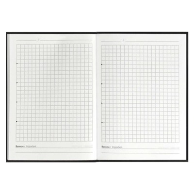 Записная книжка А6+  96л клетка ЛАЙТ "ФОРМУЛА УСПЕХА" 68039 Феникс