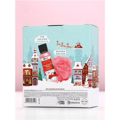 Подарочный набор новогодний «Счастливого Нового года», гель для душа 100 мл и мочалка для тела, Чистое счастье