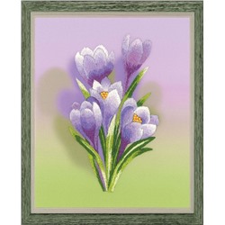 Набор для вышивания Риолис Рт-0065 Крокусы. Гладь, 13*16 см
