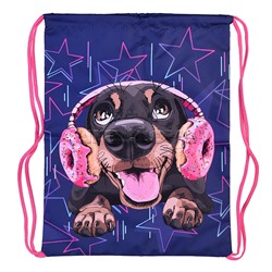 Мешок для обуви "Пес в наушниках" 1 отделение, 330х420мм, петля для подвеса, полиэстер, 210 ден