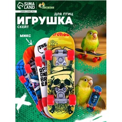 Игрушка для птиц «Скейт», МИКС