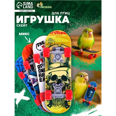 Игрушка для птиц «Скейт», МИКС