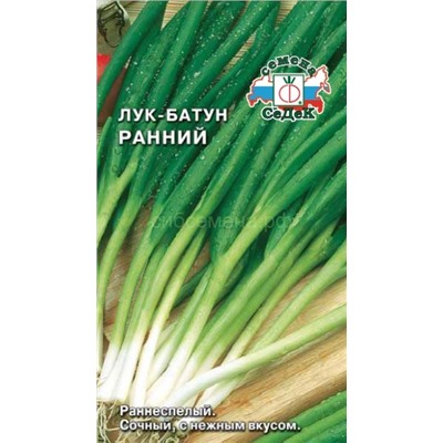 Лук батун Ранний (Седек)