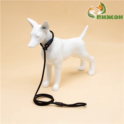 Ринговка для собак, 130×0.8 см, чёрная