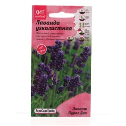 Семена цветов Лаванда узколистная Лаванш Пурпл Дип 6 шт.