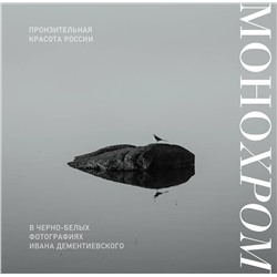Эксмо Иван Дементиевский "Монохром. Пронзительная красота России в черно-белых фотографиях Ивана Дементиевского"