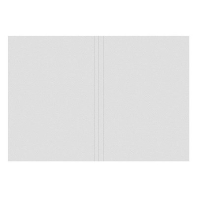 Скоросшиватель бумажный (без замка) А4 "ДЕЛО" 320 г/кв. м немелован. RP0032W inФОРМАТ