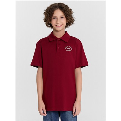 ПОЛО ДЛЯ МАЛЬЧИКОВ 113458