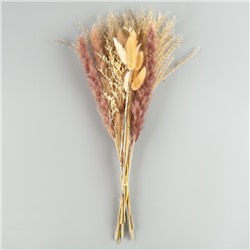 Сухоцветы «Лагурус», набор из 3 видов, 48×16×6 см