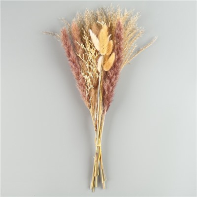 Сухоцветы «Лагурус», набор из 3 видов, 48×16×6 см