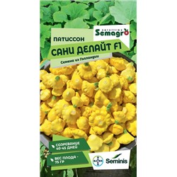 8052N Патиссон Сани Делайт F1 5шт