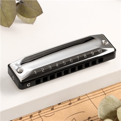 Губная гармошка Music Life T002 C диатоническая, 10 отверстий, с футляром