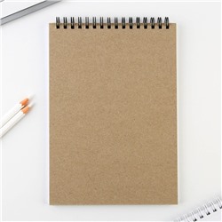 Скетчбук А5, 40 л 100 г/м² «Котозарисовки»