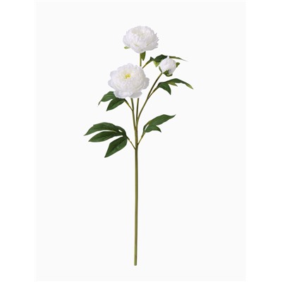 Цветы искусственные «Пион Беверли люкс», h=60 см, белые