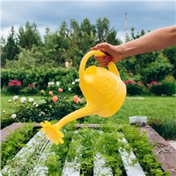 Лейка, 2.5 л, с рассеивателем, носик d=18 мм, цвет МИКС