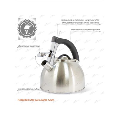 Merali Чайник ЧН-30-07