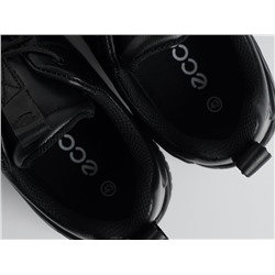 Кроссовки Ecco Biom