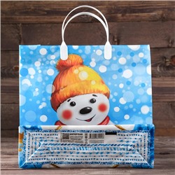 Пакет подарочный новогодний «Снежный друг», мягкий пластик, 30×30 см