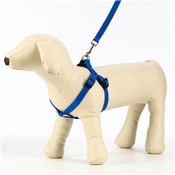 Комплект «Базис», поводок 120×1.5 см, шлейка 32-46×1.5 см, синий