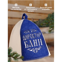 Шапка для бани и сауны, с аппликацией «Директор бани», полиэфир