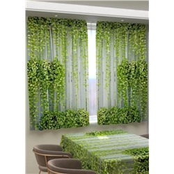 Фотошторы для кухни #23062451