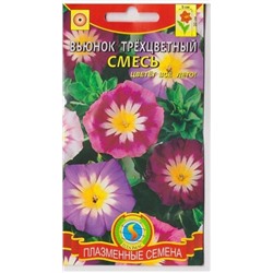 Вьюнок Трехцветный смесь  (Код: 75164)