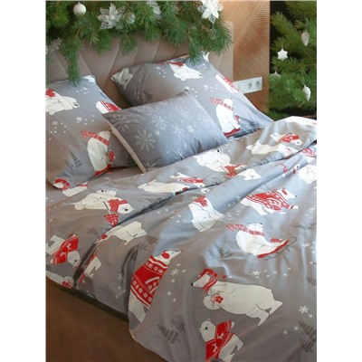 Постельное бельё 2-спальное «Этель. Зимние игры», поплин