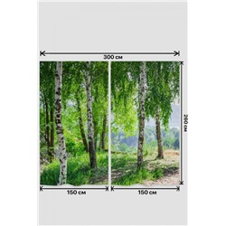 Фотошторы 10839 (Зеленый)