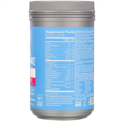 Vital Proteins, Performance, PreWave, натуральная маракуйя, 369 г (13 унций)