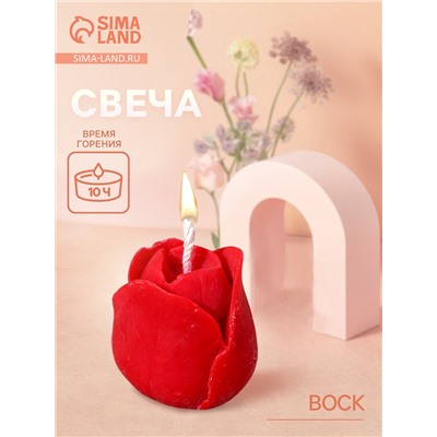 УЦЕНКА Свеча «Тюльпан», 4×4×4 см, соевый воск